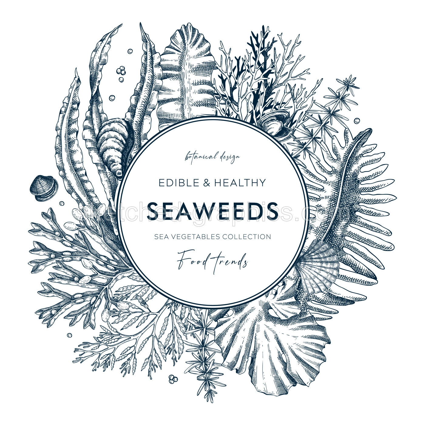 Seaweed Wreath Invitation Illustration